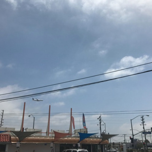 久久青草免费91观看
